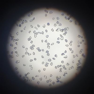 30/40 400/500 Grit Mbd 化学ニッケルコーティングを磨くための合成ダイヤモンド粉